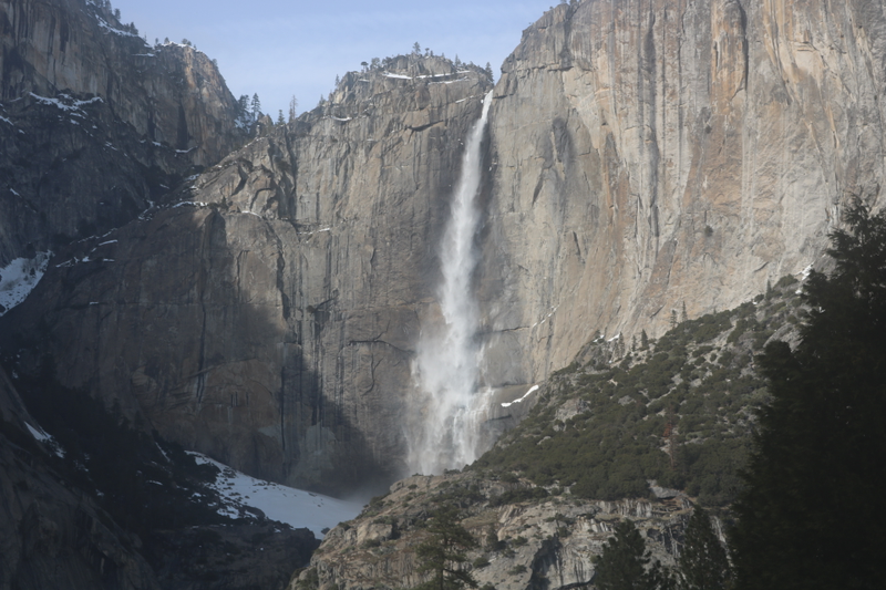 Illustration for article titled A family day with Toby in Yosemite